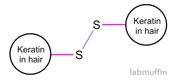 Keratin in Hair Structure