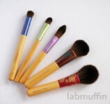 My Regular Makeup Brushes – Real Techniques, Ecotools, Crown and Lust Have It!