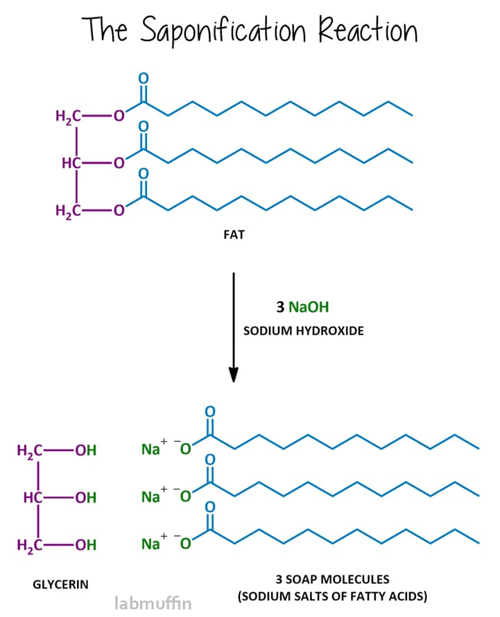 Make Your Own Soap! Part 1: The Chemistry Behind Soap Making