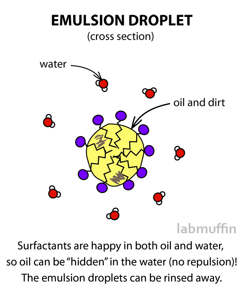Emulsion droplet diagram: All About Cleansing and How to Choose a Gentle Cleanser