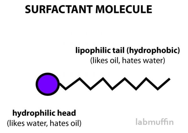 Surfactants Are Everywhere, aka Stop Being Terrified of Chemicals