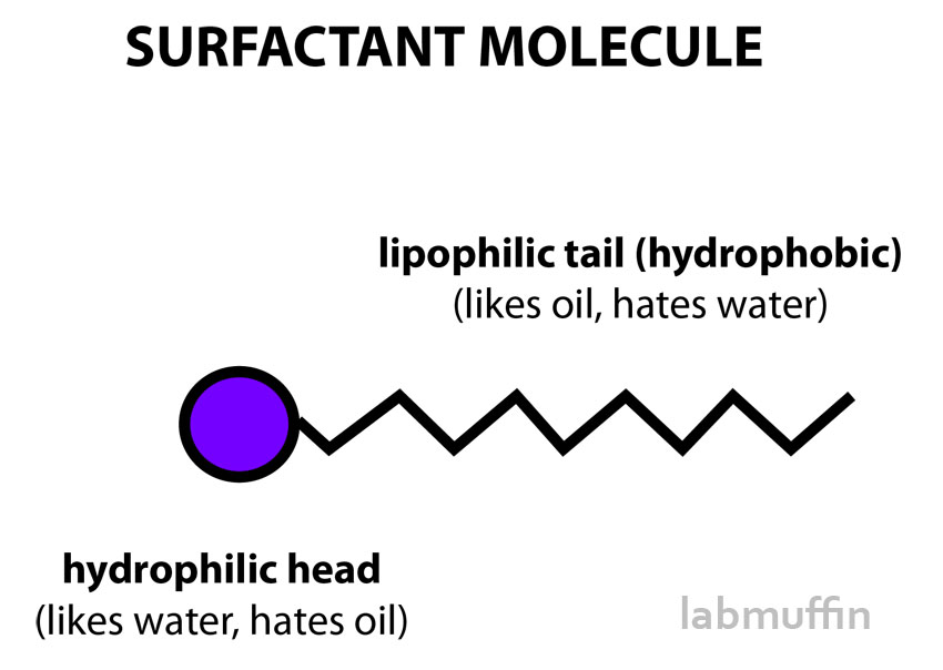 surfactant