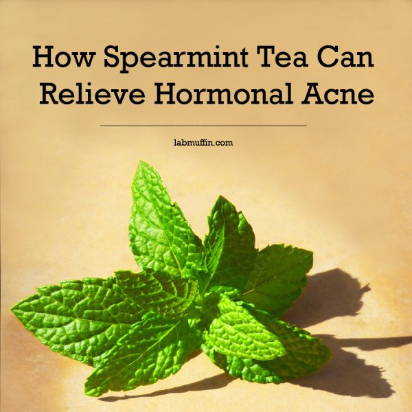 How Spearmint Tea Can Relieve Hormonal Acne Lab Muffin Beauty Science