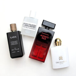 Perfume Reviews: Elizabeth Arden, Zadig & Voltaire, Ne'emah and Trussardi