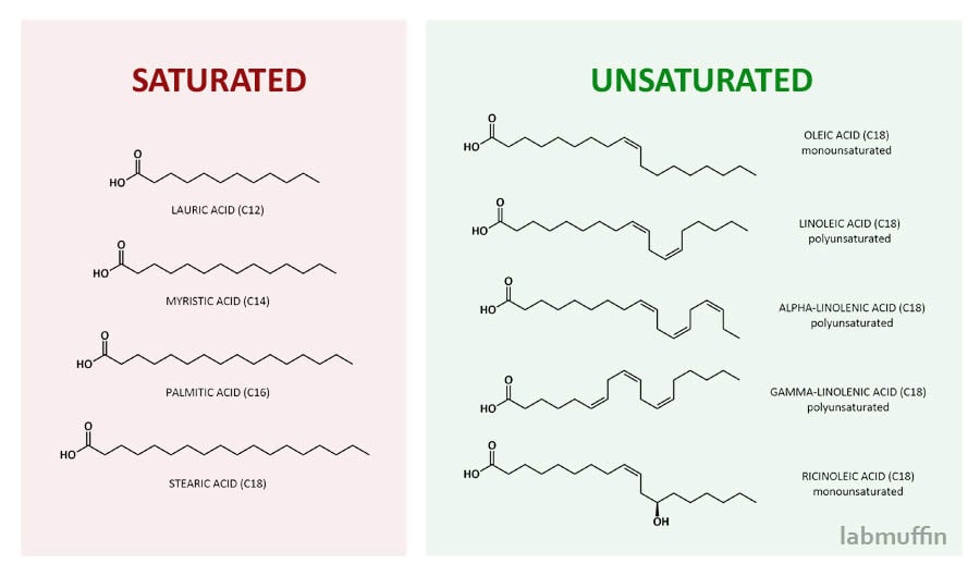 structures-saturated-unsaturated-fatty-acids