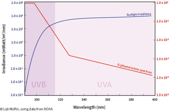 What Does SPF Mean? The Science of Sunscreen | Lab Muffin Beauty Science