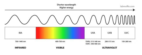 uv and visible light spectrum