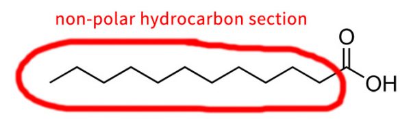 hydrocarbon structure