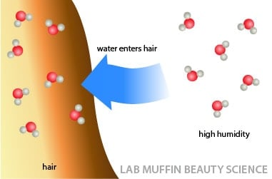 Hair frizz science water and hydrogen bonds  Lab Muffin Beauty Science