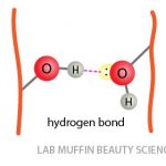 hydrogen bond