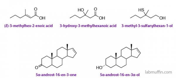 Body odour chemicals