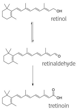 Retinol metabolism