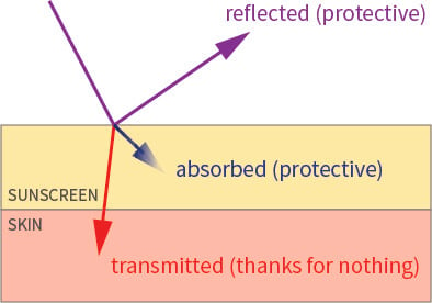 uv absorbed transmitted reflected