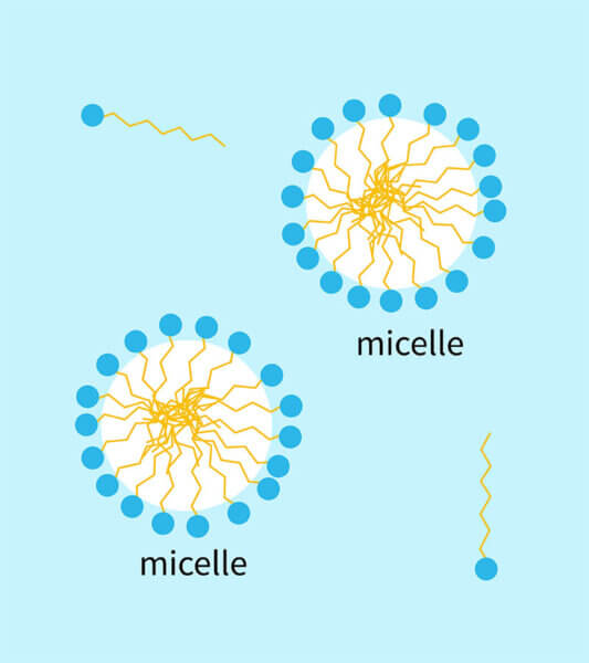micelles individual molecules