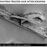 Pantene Microscope With Silicone Hair Strand