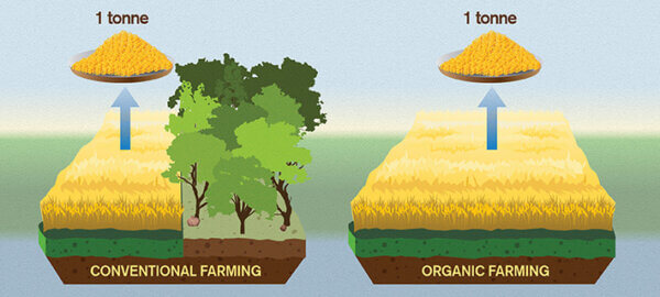 organic land use