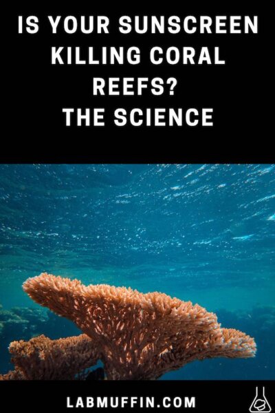 Is Your Sunscreen Killing Coral Reefs? The Science