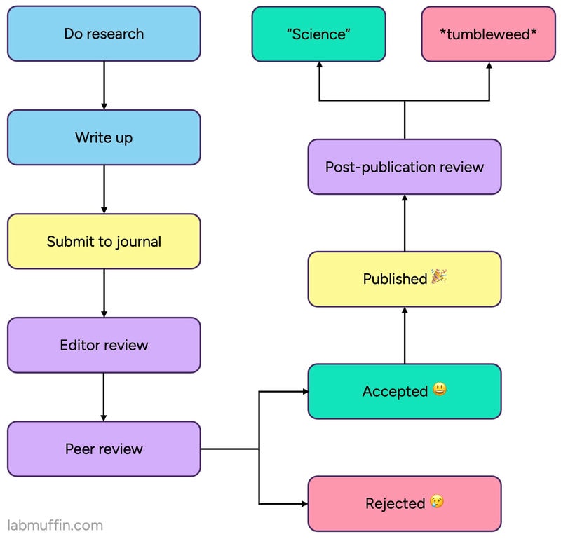 peer review process