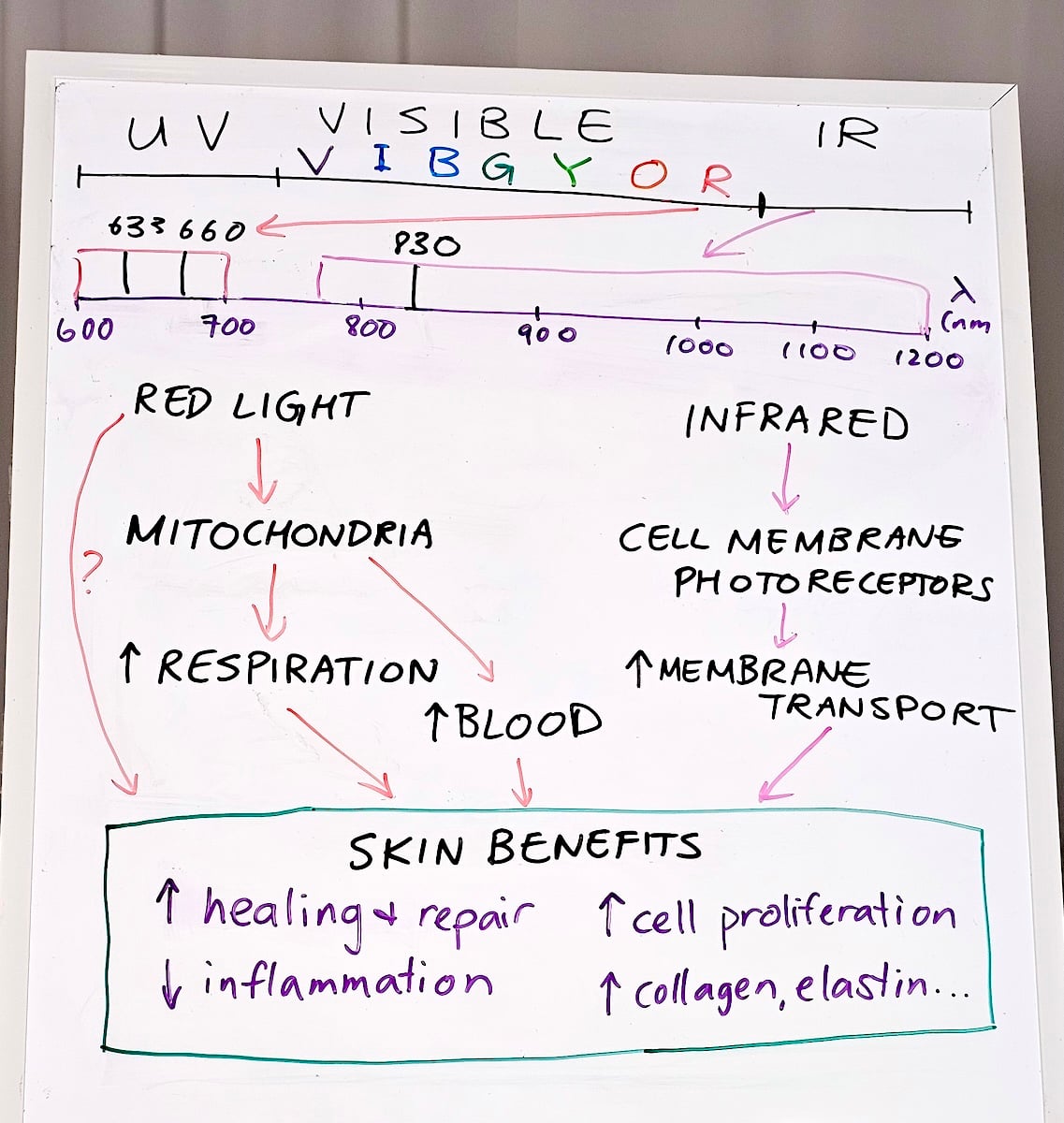 The science of red light masks | Lab Muffin Beauty Science