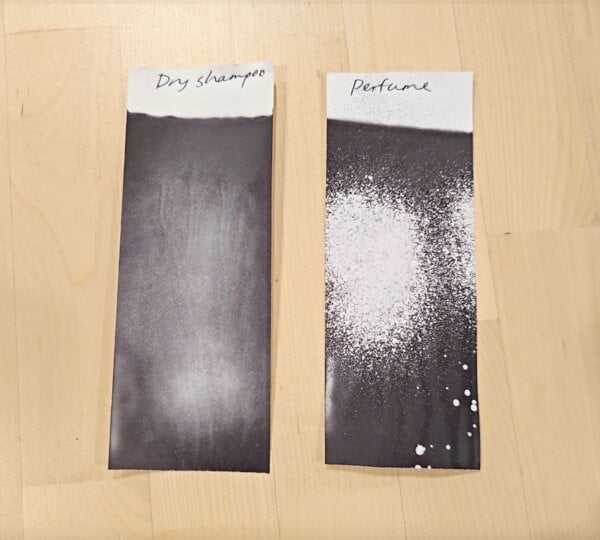 dry shampoo perfume receipts