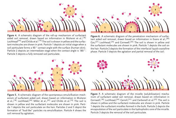 surfactant diagrams