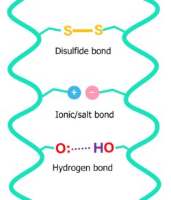 Hydroids On Rope Hair, hydration and water: the real science | Lab Muffin Beauty Science