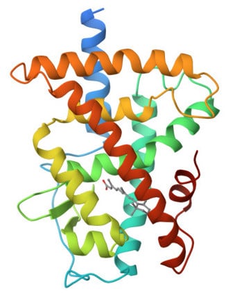 RAR-gamma with tretinoin