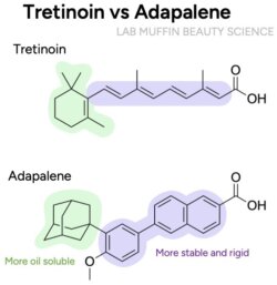 Ultimate Guide to Drug Retinoids | Lab Muffin Beauty Science