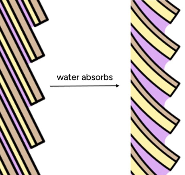 wet hair cuticle scales 