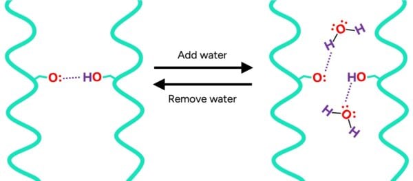 hair bonds break with water