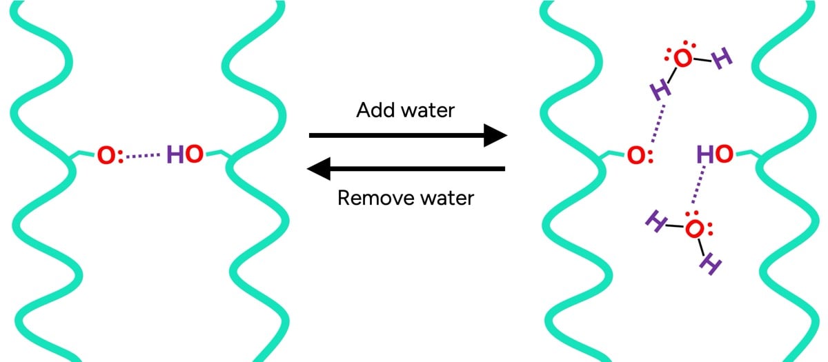 hair bonds break with water