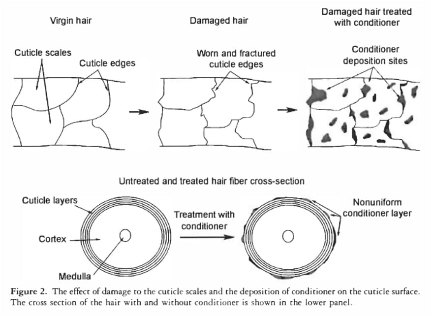 conditioner La Torre